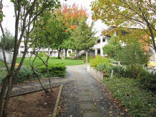 Eastwood at Provincetown image 23