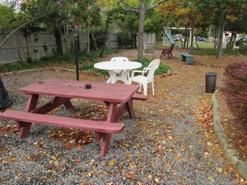 Eastwood at Provincetown image 3